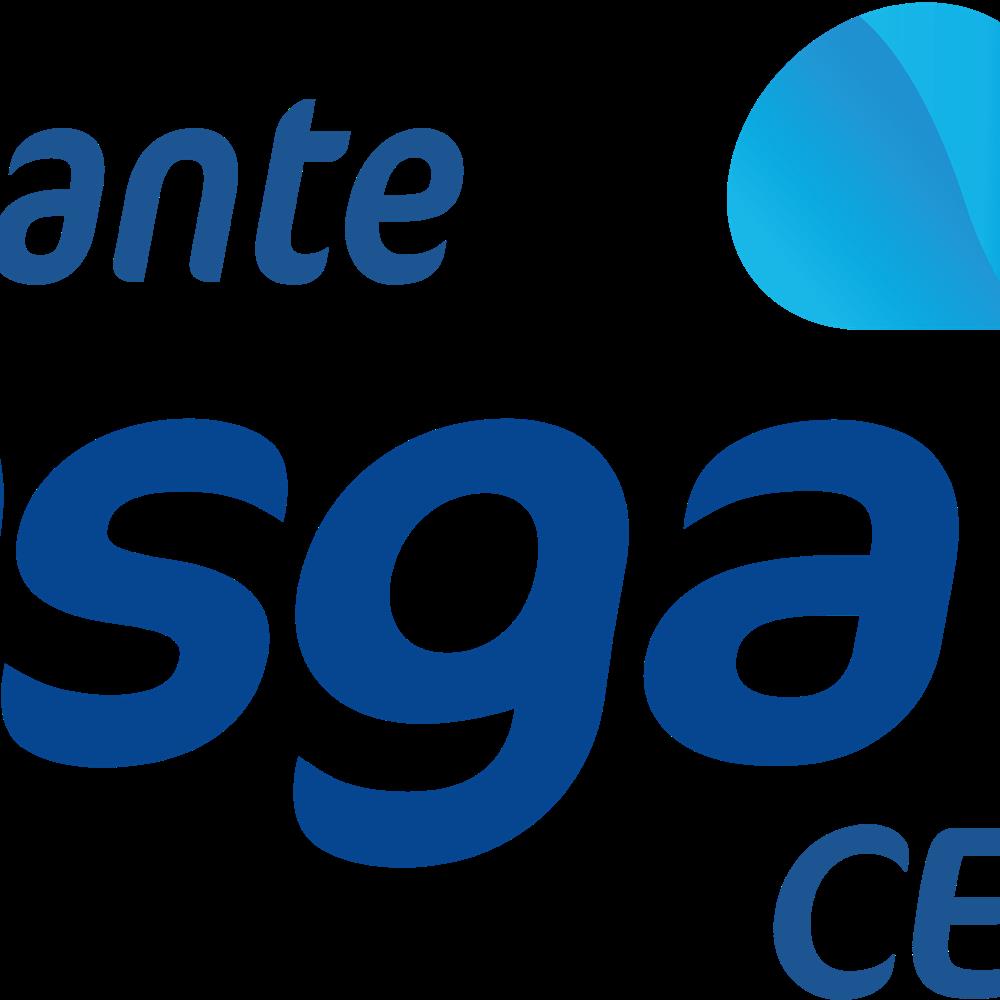 Logotipo de la organización